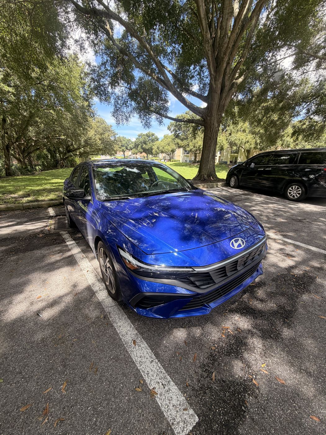 Blue Hyundai Elantra exterior detail, showroom shine